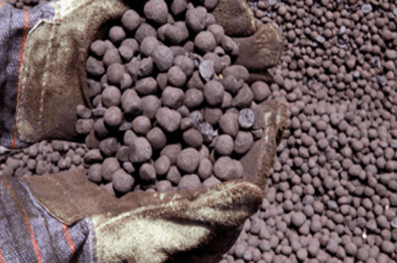 Coal