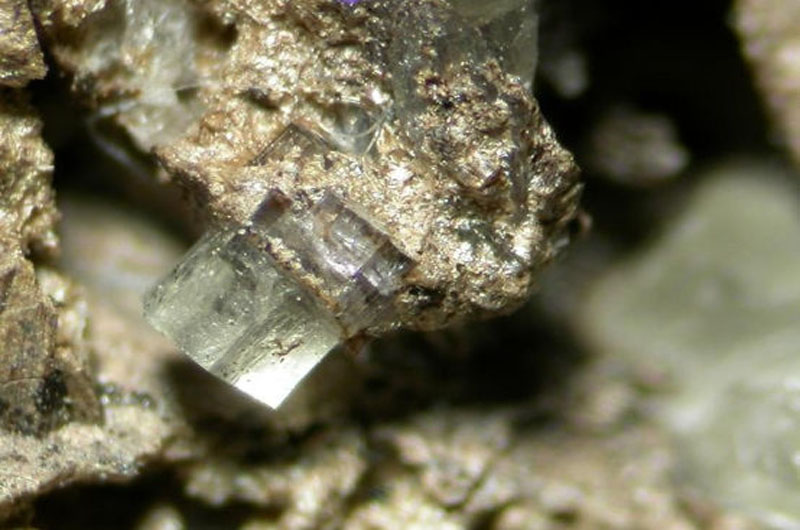 Fluorcaphite